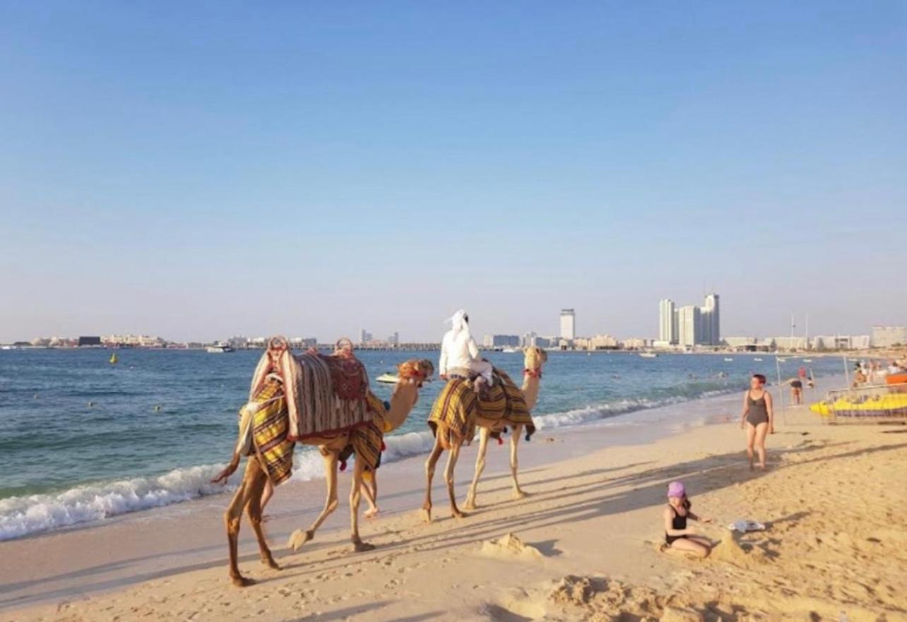 Seaview Beach Hostel Jbr - Walk To Beach - Gym - Pool - Metro Station Dubai Dış mekan fotoğraf